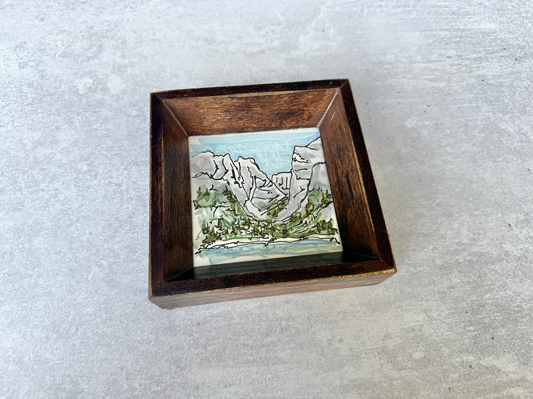 String Lake 2 - Natural Frame - Bird & Buffalo