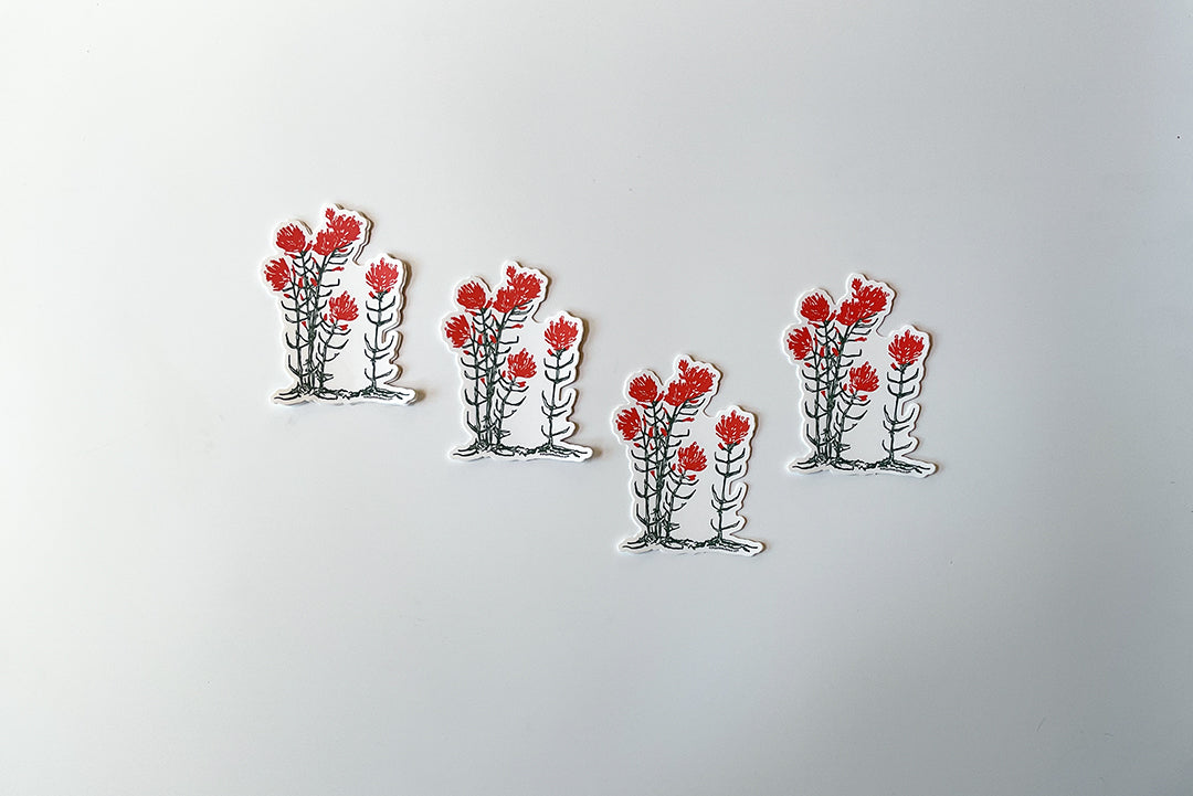 Indian_Paintbrush_Wyoming_Sticker