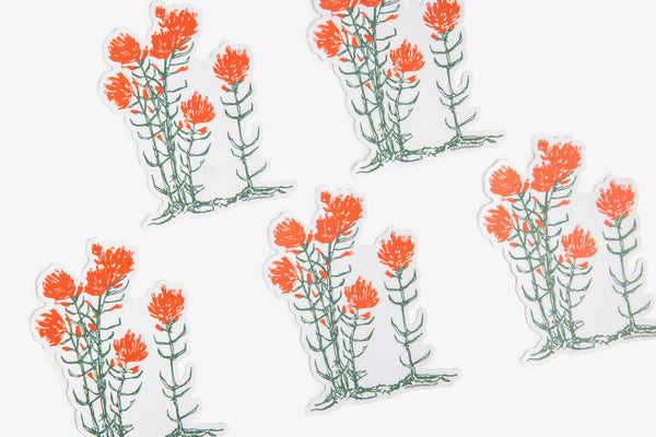 Indian Paintbrush Sticker
