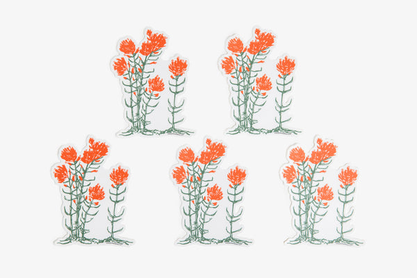 Indian Paintbrush Sticker