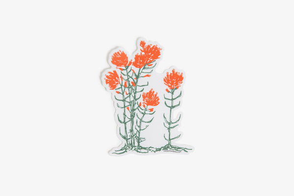 Indian Paintbrush Sticker