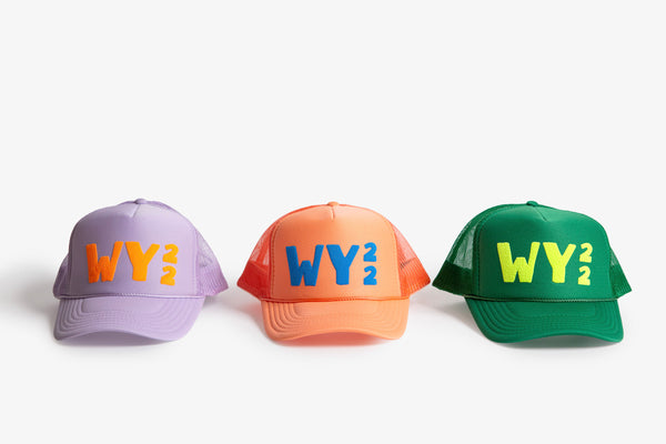 WY-22 Trucker Hat - Bird & Buffalo