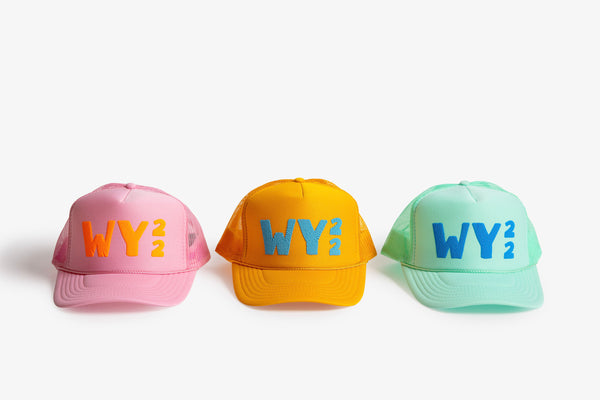 WY-22 Trucker Hat - Bird & Buffalo