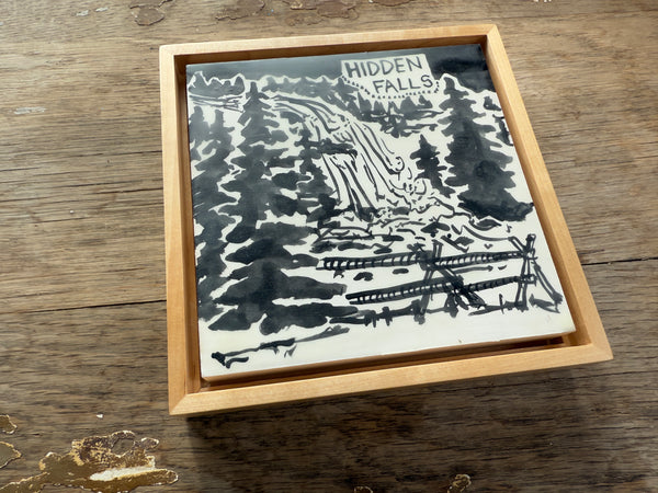 India Ink - Hidden Falls - Floater Frame