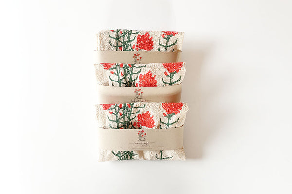 Indian Paintbrush - Bird & Buffalo