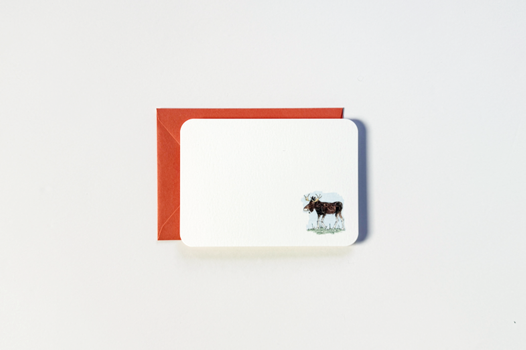 Note Card - Bird & Buffalo