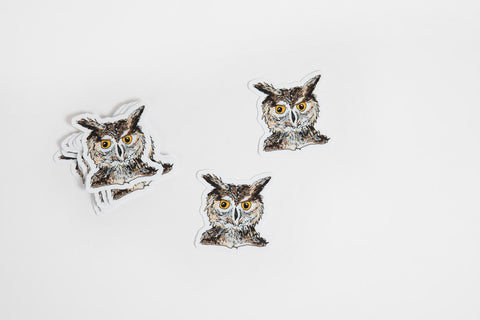 Owl Sticker - Bird & Buffalo