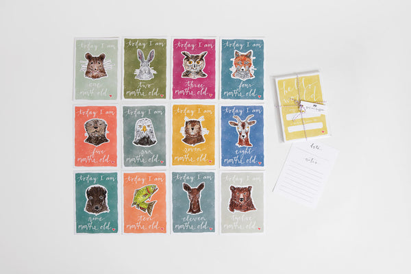 Baby - Milestone Cards - Bird & Buffalo