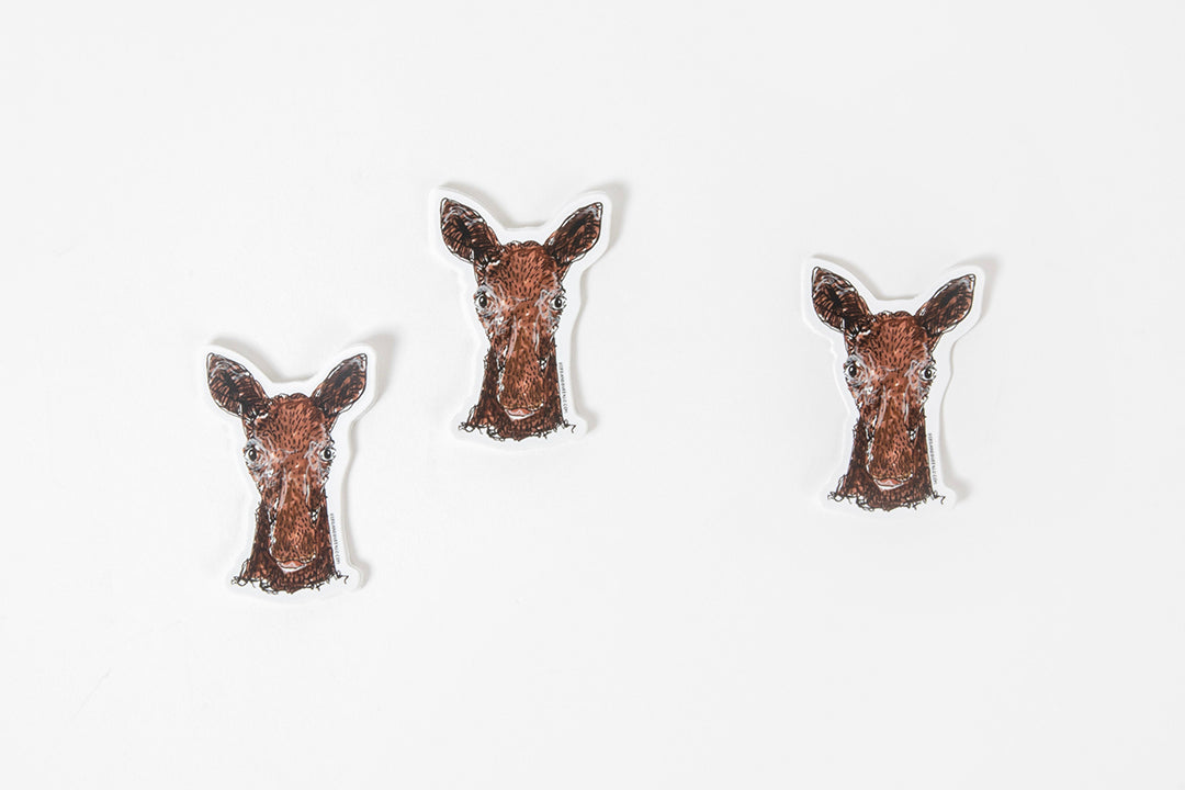Moose Sticker – Bird & Buffalo